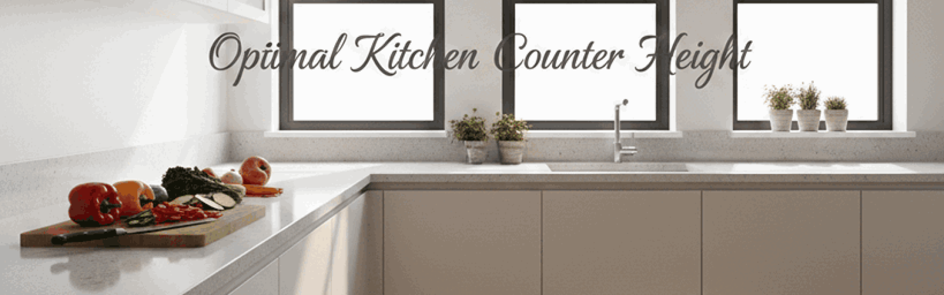 Modern kitchen with a standard counter showing ideal kitchen counter height setup